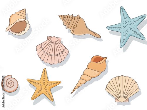 Assortment of illustrated seashells and starfish on a white background