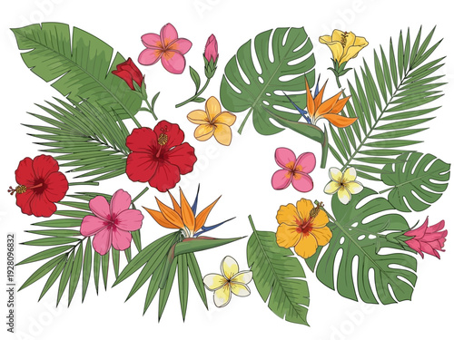 Assortment of tropical flowers and various green foliage arranged on a white background