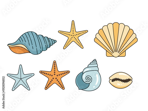 Collection of seven colorful illustrated seashells and starfish on a white background