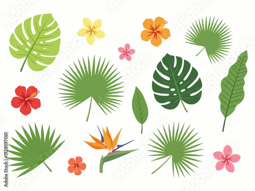 A collection of tropical leaves and flowers in various green red orange and yellow hues on white