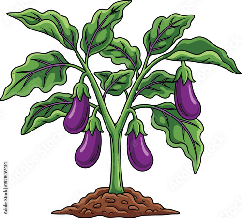 Growing eggplant cartoon vector illustration, an edible plant with purple fruit for healthy food