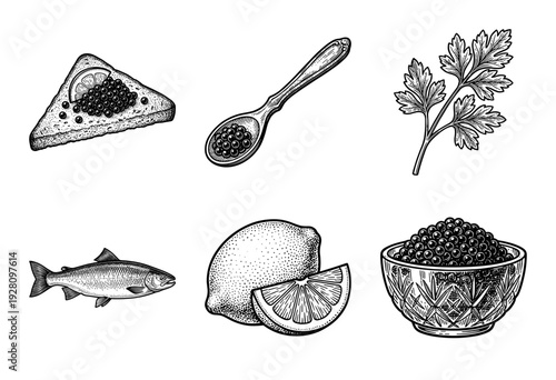 Set of vintage stipple engraving illustrations featuring black caviar, sturgeon fish, lemon, parsley, and gourmet appetizers.