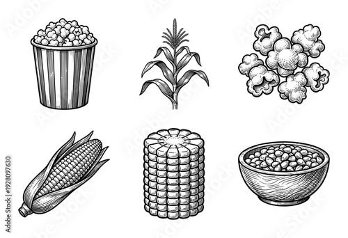 A collection of corn and popcorn themed woodcut style illustrations featuring stalks, kernels, cobs, and cinema snacks in a vintage engraving aesthetic.