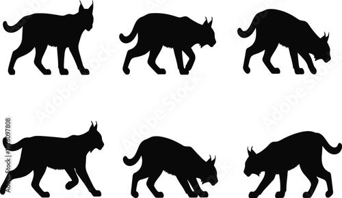 Lynx silhouette set with wild cat walking and stalking poses, feline predator icons in flat vector style for CAD drawing, wildlife nature design