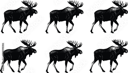 Moose silhouette set with bull elk walking poses, horned forest mammal icons in flat vector style for CAD drawing, wildlife nature design elements
