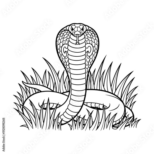 Intricate black and white illustration of a cobra with an expanded hood, rising from dense grass, embodying the alert and powerful nature of this wild reptile