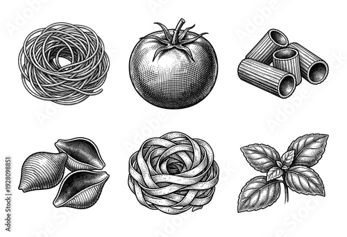 Vintage hand drawn engraving of italian pasta collection with tomato and basil leaves