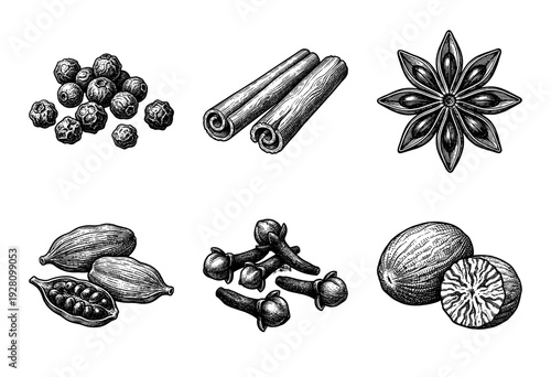Vintage engraving of essential cooking spices featuring cinnamon sticks star anise cardamom pods cloves nutmeg and black peppercorns in a hand drawn woodcut style.