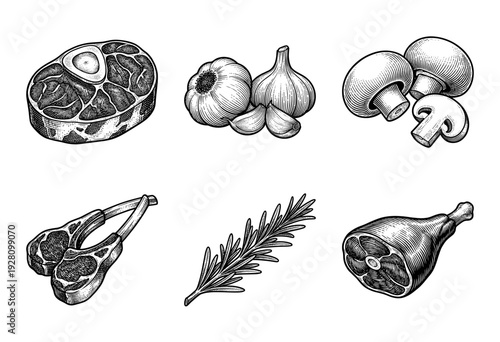 Vintage woodcut style collection of raw meat cuts, garlic, mushrooms, and rosemary herbs for culinary design.