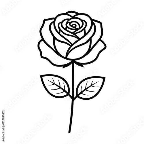 Elegant minimalist rose illustration for floral design and branding