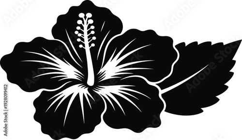 Tropical hibiscus flower silhouette with leaf and detailed stamen in black and white, cad drawing flat vector illustration for summer floral design,