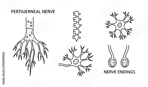 Brain Lightbulb Icon Vector Illustration – Creative Idea Concept