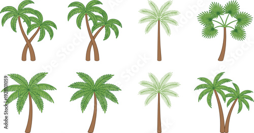 Palm tree collection tropical island plant set for summer beach landscape travel and nature flat vector illustration