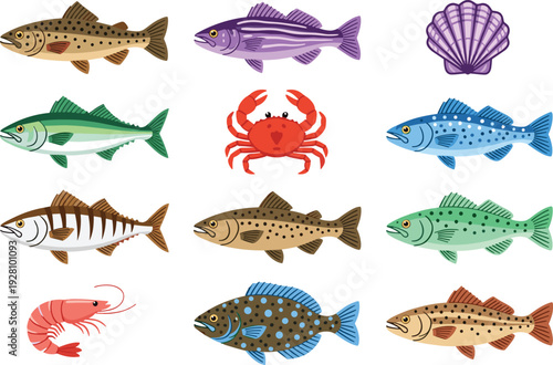 Colorful sea fish and seafood illustration set with crab shrimp shell marine collection