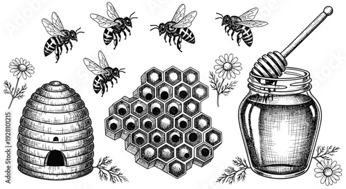 Honeybee illustration bees hive honeycomb jar and dipper hand drawn