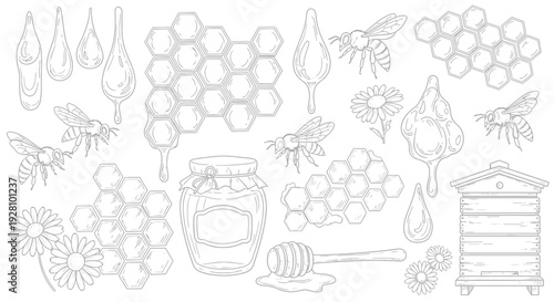 Honeybee illustration depicting bees honeycomb honey and beehive elements