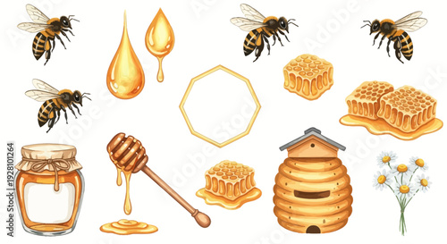 Honeybee illustration set bees honey comb and hive elements