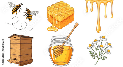 Honeybee illustration set bees honeycomb honey jar and related elements