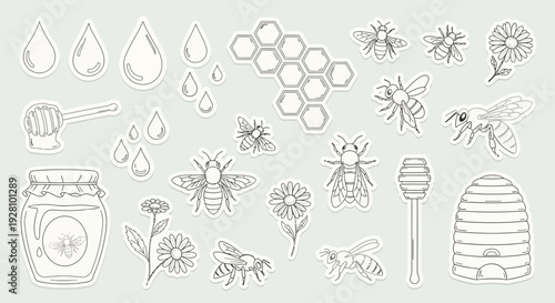 Honeybee illustration set hand drawn bees honeycombs and sweet drops