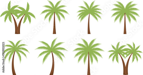Palm tree collection tropical summer beach plant set for island landscape travel and nature vector illustration