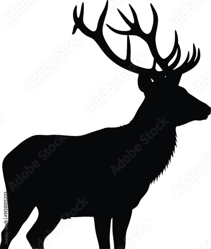 Elk Silhouette Standing Isolated on White Background