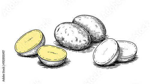 Hand drawn of whole and sliced potatoes with yellow interior white background food