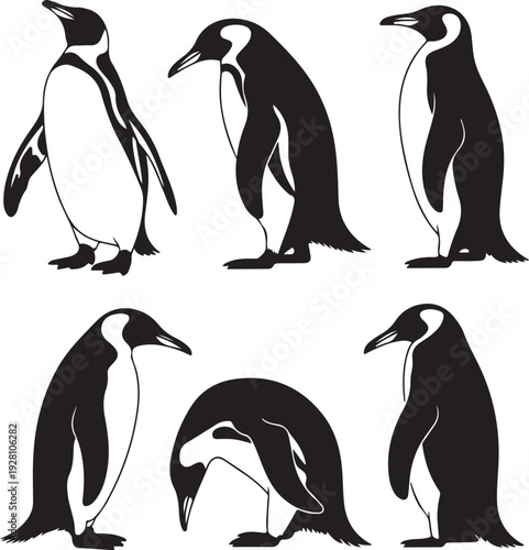 Penguin Set Black Silhouette Vector Collection,Antarctic Penguin Birds Illustration Pack