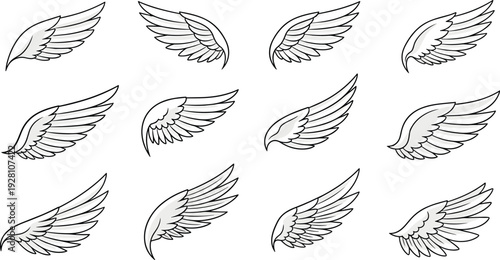 Collection of various white bird wings with feather details, isolated on transparent background