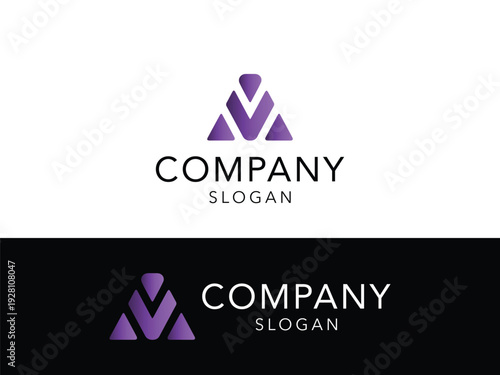 Professional Logo