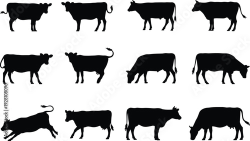 Cow silhouettes collection, livestock animal vector, farm cattle illustration, grazing posture design, rural agriculture art, dairy farming lifestyle gesture