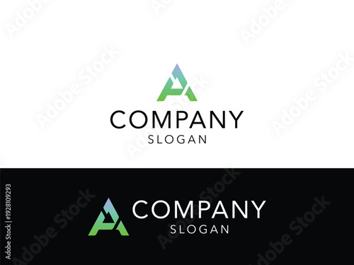 Modern Professional Logo