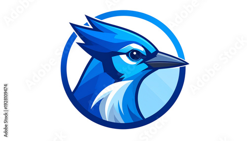 A vibrant blue bird with a long beak perched on a circular blue background isolated on transparent background