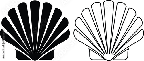 A simple black and white illustration of two seashells on a plain background.