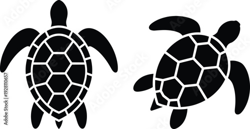 A pair of black silhouetted turtles facing different directions on a white background.