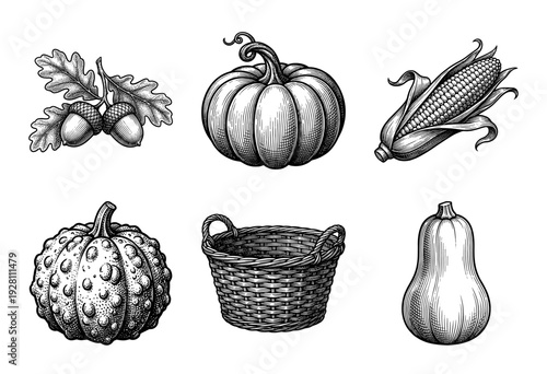 Vintage engraving style collection of autumn harvest elements including pumpkins, gourds, corn, acorns, and a woven wicker basket.