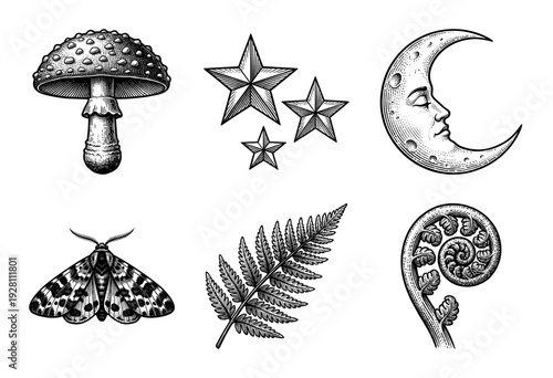 Set of black and white hand drawn mystical and botanical illustrations including mushroom, moon, stars, moth, and fern in a vintage woodcut engraving style.
