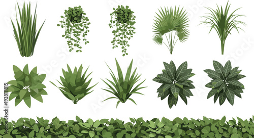 Set of various indoor plants and green grass elements for architectural visualization and garden landscape