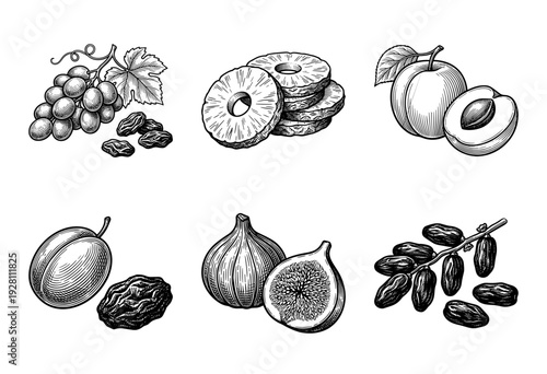 Vintage style engraving of various dried and fresh fruits including grapes raisins pineapple rings apricots figs and dates on white