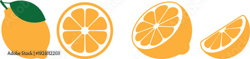 A simple illustration of oranges in different cuts and a whole one with a leaf.