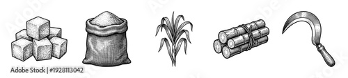 Vintage engraving style illustration of sugarcane harvest elements including sugar cubes, burlap sack, cane plant, stalks, and a harvesting sickle.