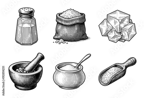 Vintage engraving style collection of salt cellar, shaker, sack, crystalline cubes, mortar and pestle, and wooden scoop isolated on white.
