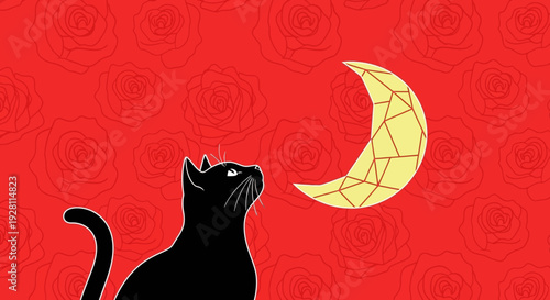Black cat gazing up at crescent moon in mystical night sky illustration