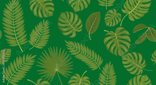 Collection of various green leaves and ferns illustration on a green background from a top view