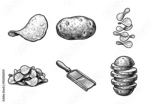 Set of potato chip snacks and raw tubers with mandoline slicer in vintage woodcut engraving style