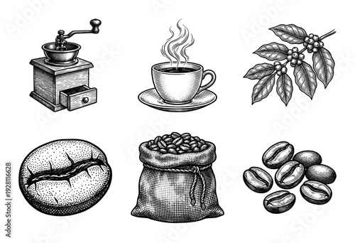 Vintage coffee collection featuring hand drawn woodcut style illustrations of beans mill and brewing equipment