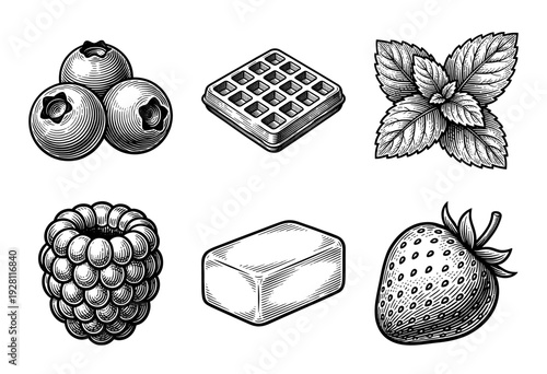 Set of hand drawn breakfast and dessert ingredients including berries waffles and butter in a classic woodcut engraving style