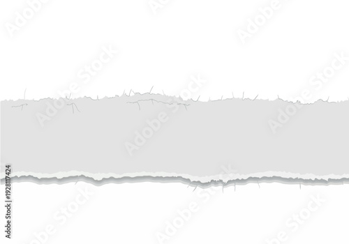 A torn strip of paper with ragged edges, showing texture and fibers, isolated on a white background, perfect for graphic design elements and background textures