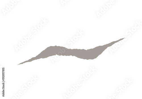 Abstract paint brush stroke, abstract graphic design element, grey and white color palette, clean background