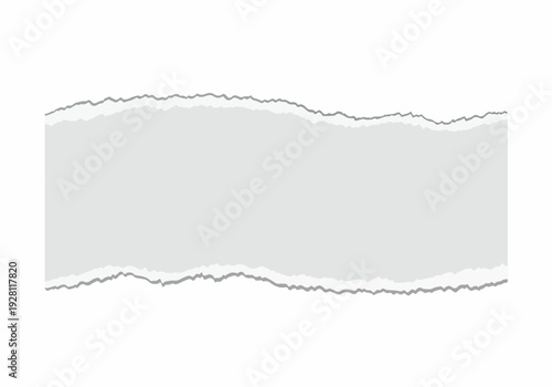 A close-up shot of a torn piece of light gray paper with a textured edge, isolated on a white background, showcasing its raw and distressed appearance