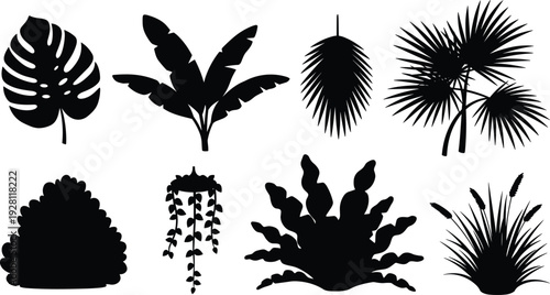 Black silhouette collection of tropical and ornamental plants, monstera, banana, palm, succulent, grass, botanical vector illustration, nature design artwork